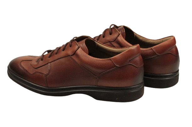 IMG_2991-removebg-preview