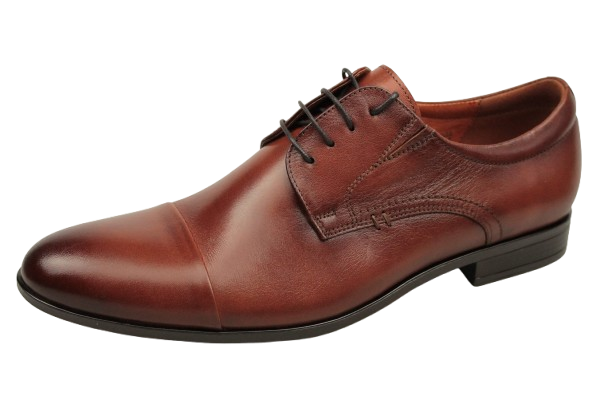 IMG_8826-removebg-preview (1) IMG_8826-removebg-preview (1)