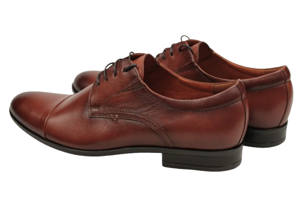 IMG_8827-removebg-preview IMG_8827-removebg-preview