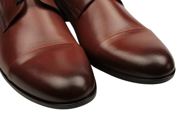 IMG_8830-removebg-preview IMG_8830-removebg-preview