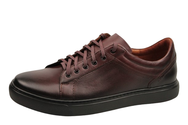 IMG_9146-removebg-preview