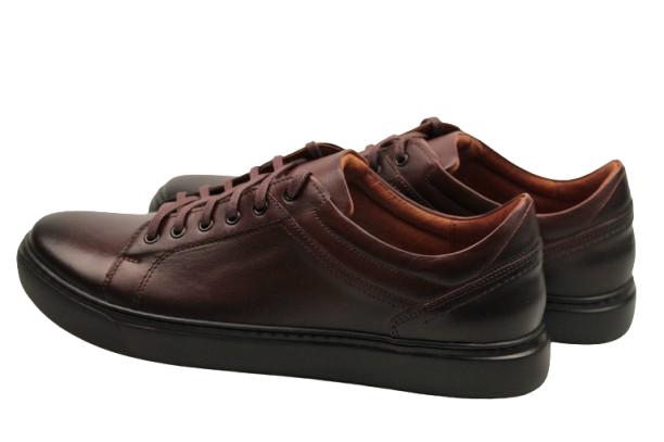 IMG_9147-removebg-preview