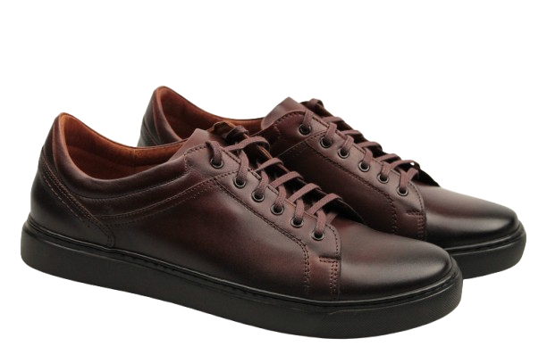 IMG_9148-removebg-preview