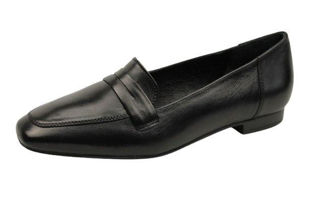 IMG_9238-removebg-preview