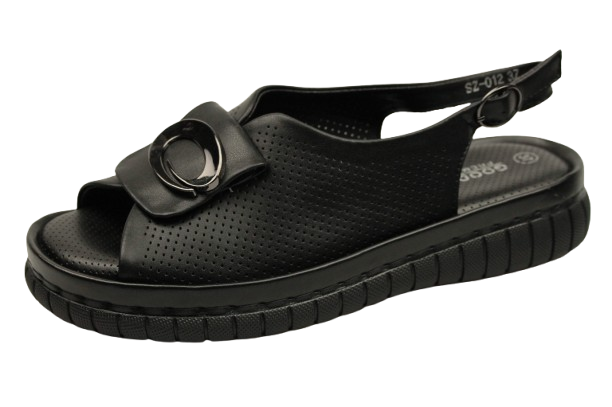 IMG_9328-removebg-preview