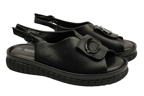 IMG_9330-removebg-preview