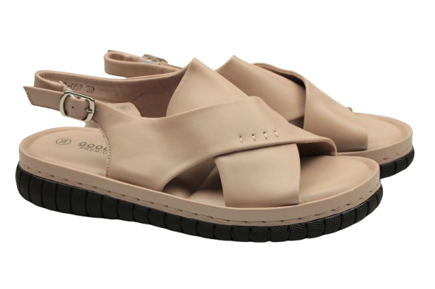 IMG_9365-removebg-preview