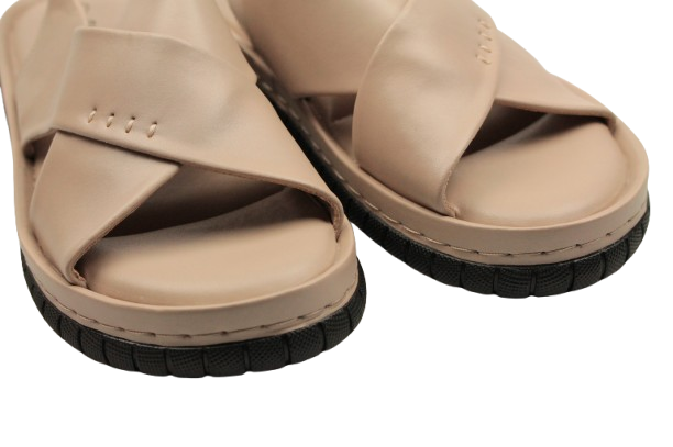 IMG_9367-removebg-preview