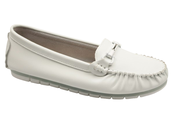 IMG_9550-removebg-preview IMG_9550-removebg-preview