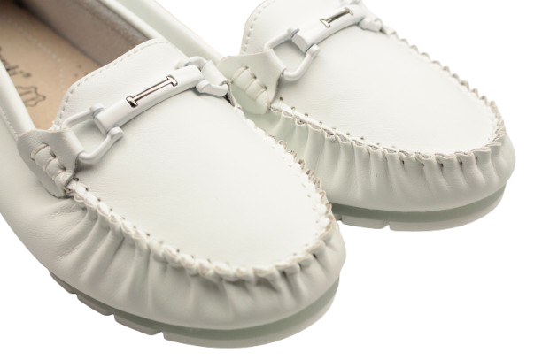 IMG_9556-removebg-preview (1) IMG_9556-removebg-preview (1)