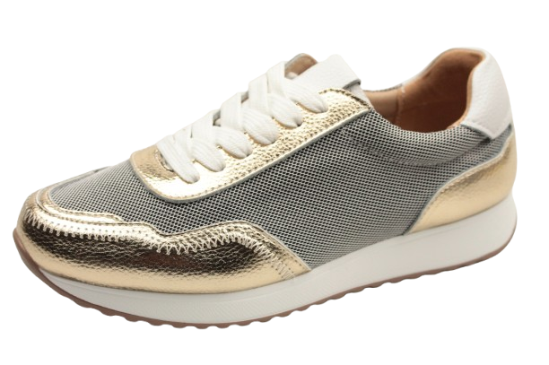 IMG_9581-removebg-preview IMG_9581-removebg-preview