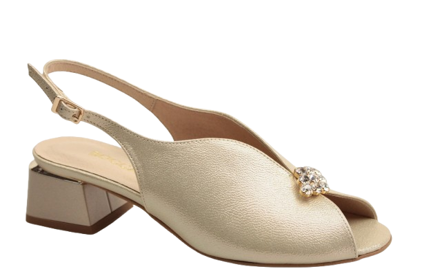 IMG_9621-removebg-preview IMG_9621-removebg-preview