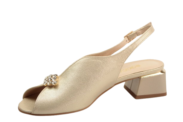 IMG_9622-removebg-preview