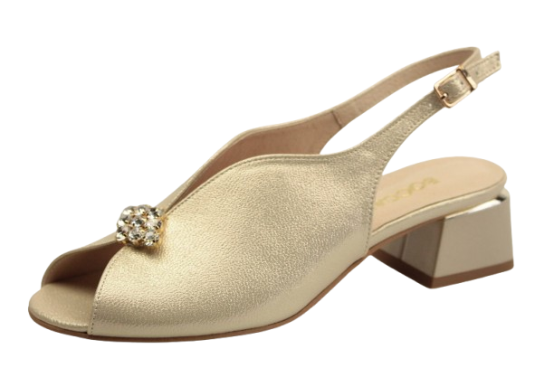 IMG_9623-removebg-preview IMG_9623-removebg-preview