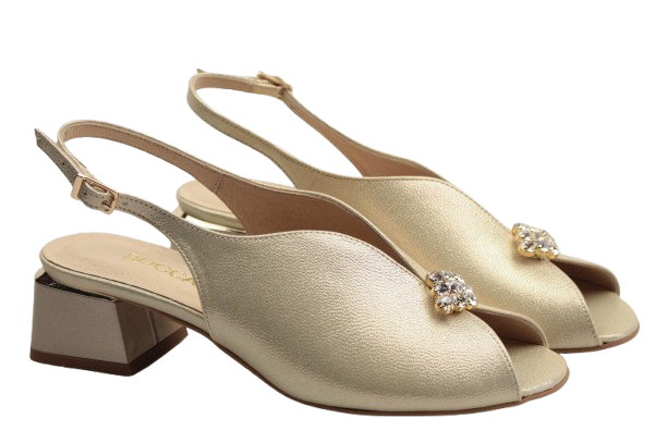 IMG_9624-removebg-preview IMG_9624-removebg-preview