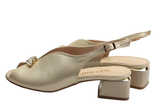 IMG_9626-removebg-preview IMG_9626-removebg-preview