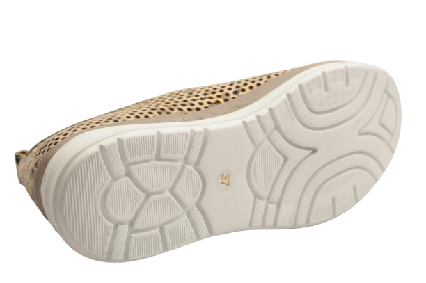 IMG_9651-removebg-preview IMG_9651-removebg-preview