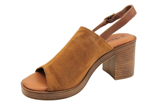 IMG_9708-removebg-preview