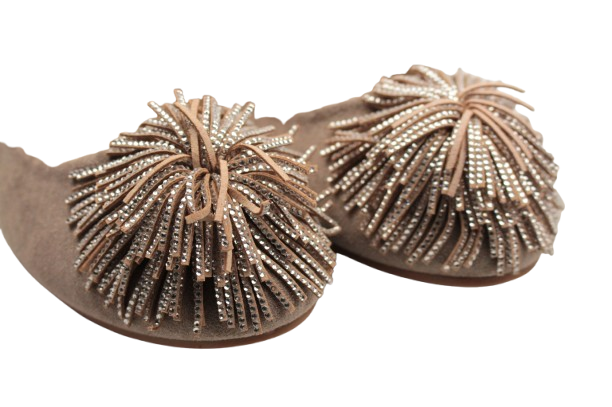 IMG_9804-removebg-preview IMG_9804-removebg-preview