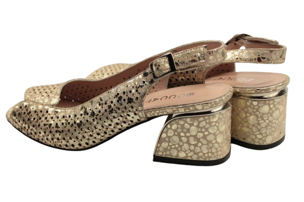 IMG_0012-removebg-preview