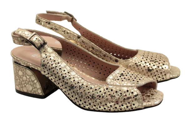 IMG_0013-removebg-preview