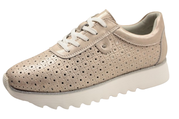 IMG_0032-removebg-preview (1) IMG_0032-removebg-preview (1)