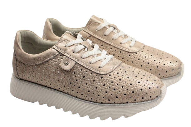 IMG_0034-removebg-preview IMG_0034-removebg-preview