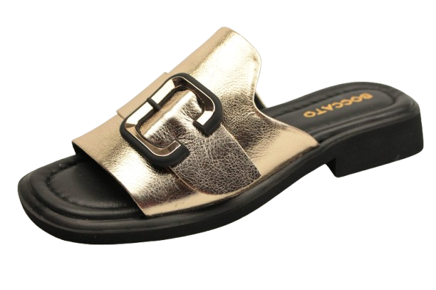 IMG_0082-removebg-preview