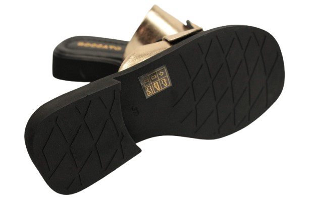 IMG_0085-removebg-preview