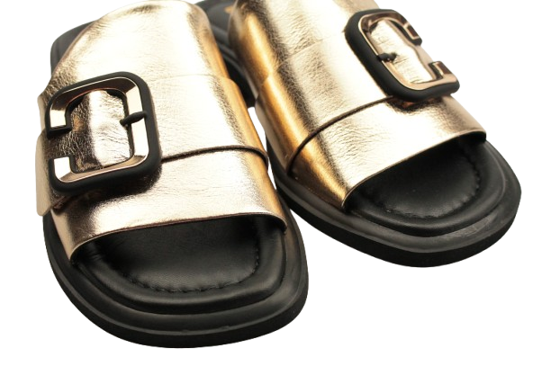 IMG_0086-removebg-preview