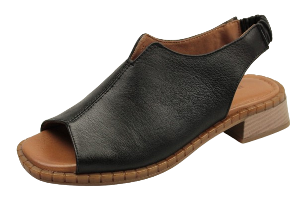 IMG_0117-removebg-preview (1)