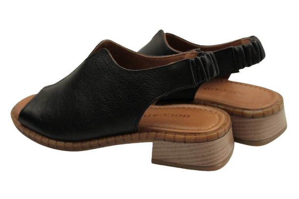 IMG_0118-removebg-preview