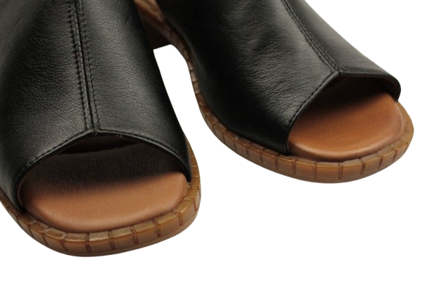 IMG_0121-removebg-preview