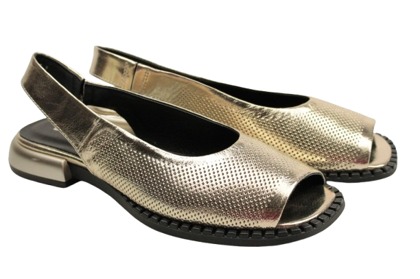 IMG_0126-removebg-preview