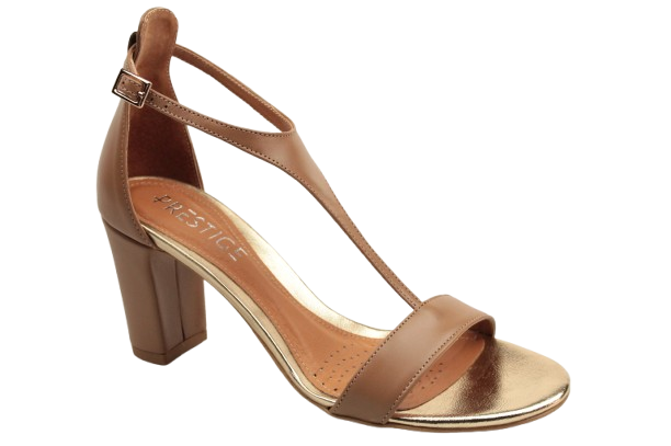 IMG_0150-removebg-preview IMG_0150-removebg-preview