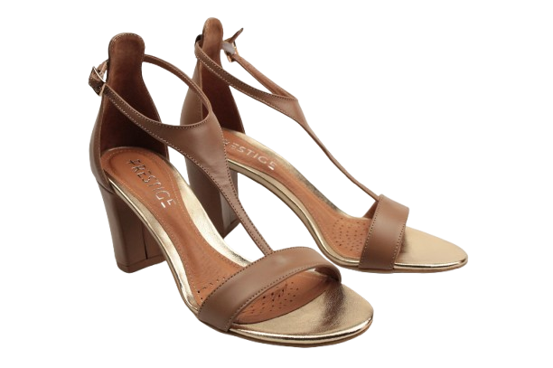 IMG_0154-removebg-preview IMG_0154-removebg-preview