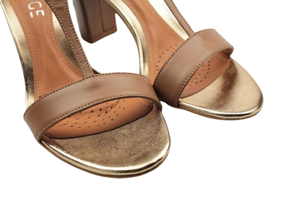 IMG_0157-removebg-preview IMG_0157-removebg-preview