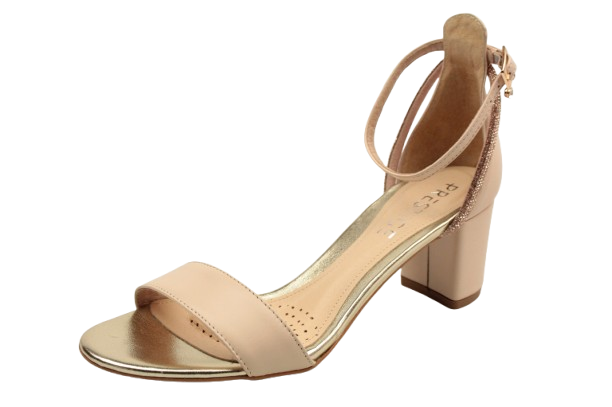 IMG_0160-removebg-preview IMG_0160-removebg-preview