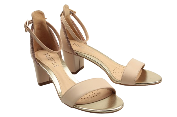 IMG_0162-removebg-preview IMG_0162-removebg-preview