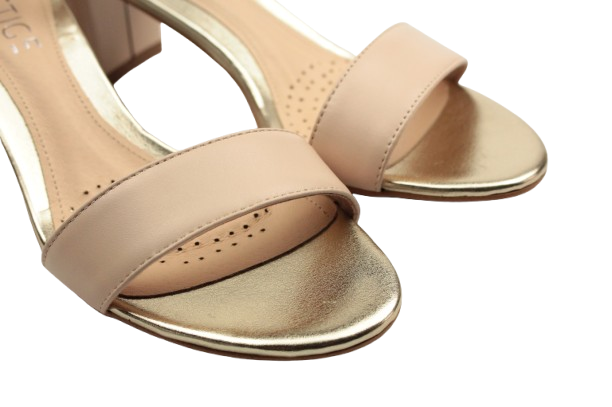 IMG_0165-removebg-preview IMG_0165-removebg-preview