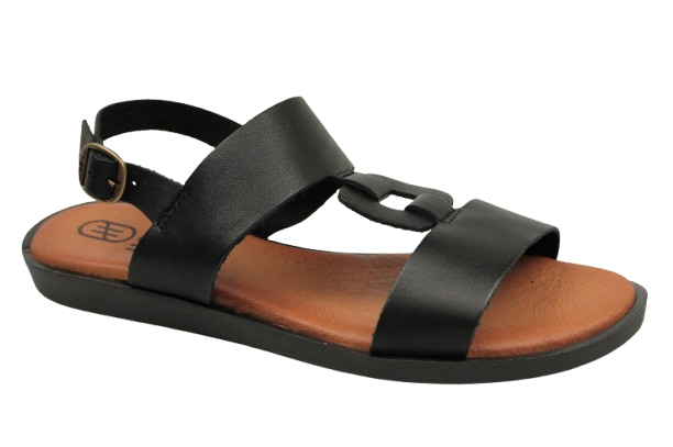 IMG_0250-removebg-preview IMG_0250-removebg-preview