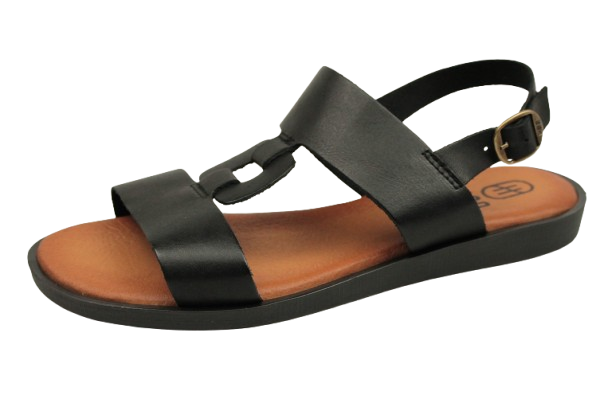 IMG_0252-removebg-preview IMG_0252-removebg-preview