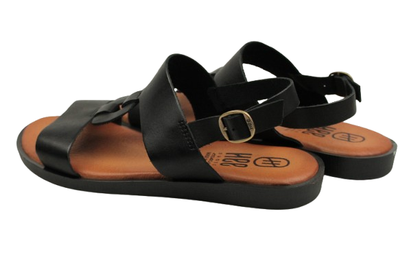 IMG_0253-removebg-preview IMG_0253-removebg-preview