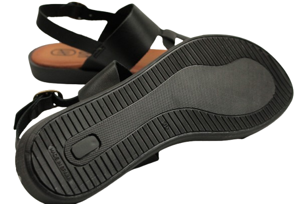 IMG_0255-removebg-preview IMG_0255-removebg-preview