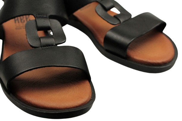 IMG_0256-removebg-preview IMG_0256-removebg-preview