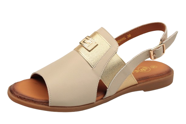 IMG_0287-removebg-preview