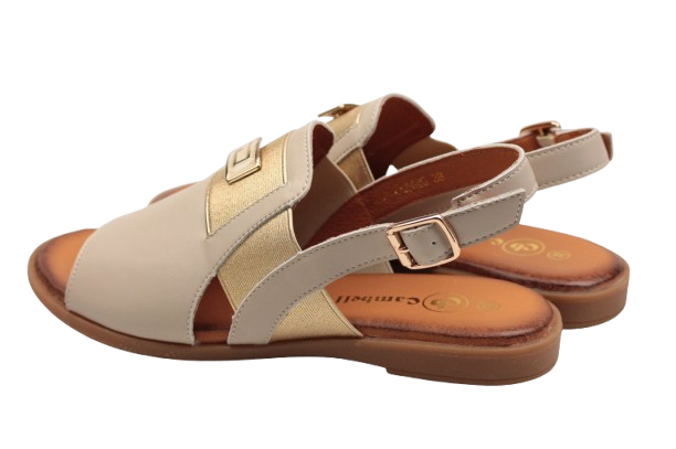 IMG_0288-removebg-preview