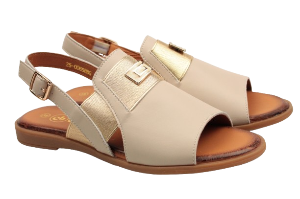 IMG_0289-removebg-preview