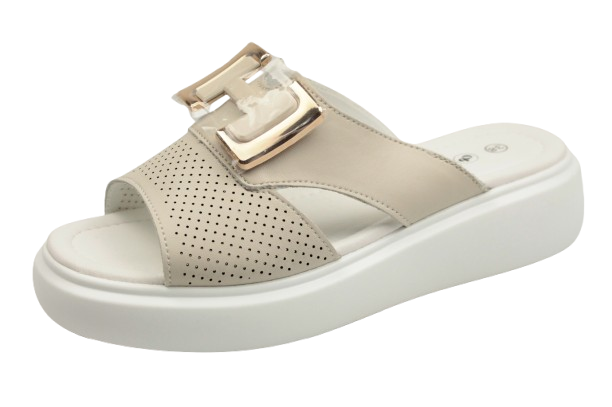 IMG_0293-removebg-preview