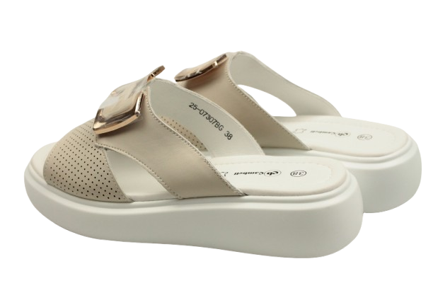 IMG_0294-removebg-preview